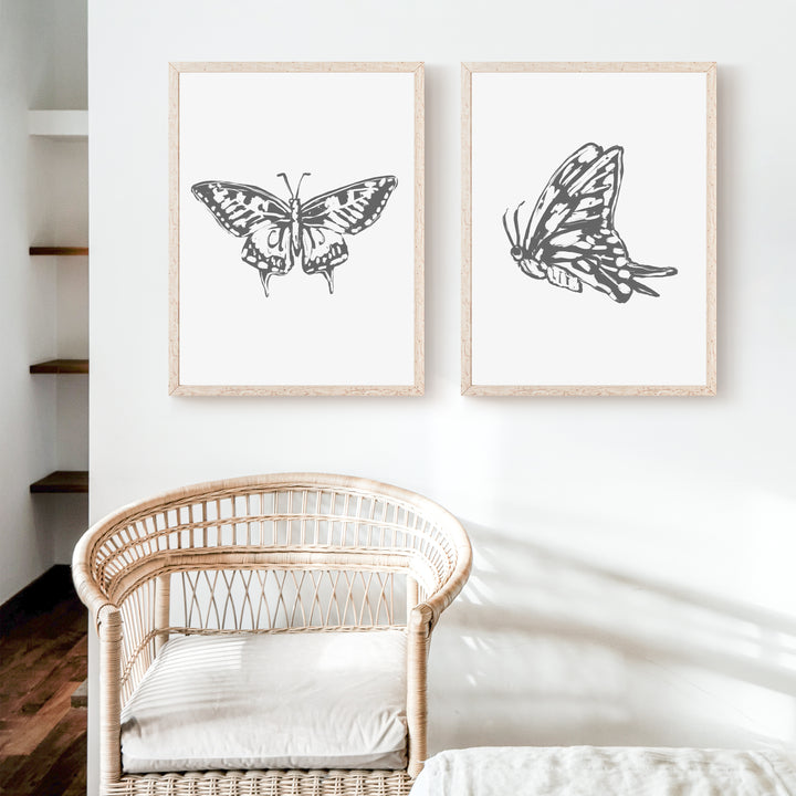 Butterfly Study - Set of 2  - Art Prints or Canvases - Jetty Home