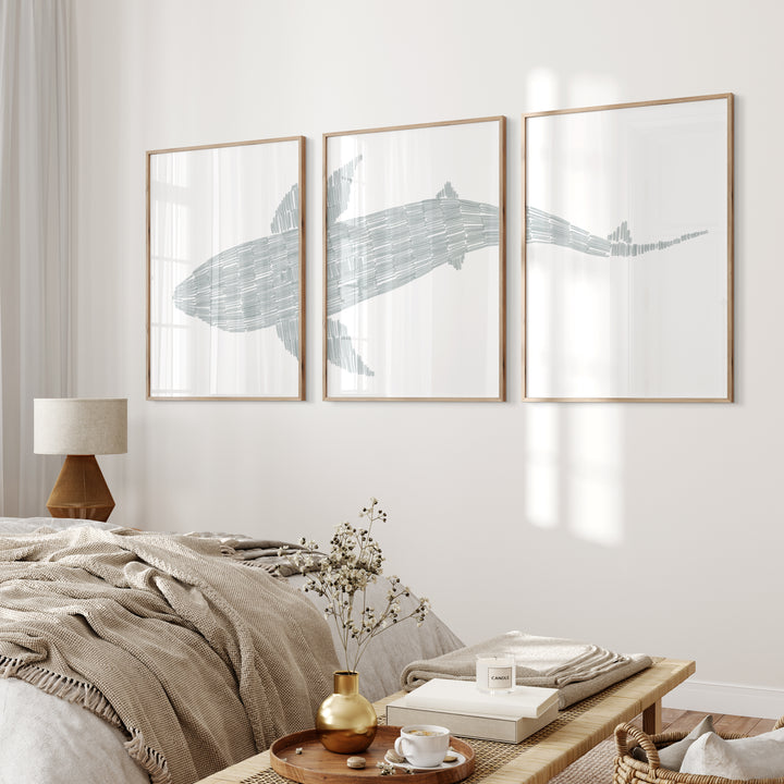 Deconstructed Swimming Shark Triptych  - Set of 3  - Art Prints or Canvases - Jetty Home