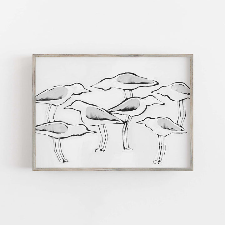 Black & White Gulls in Waiting - Art Print or Canvas - Jetty Home
