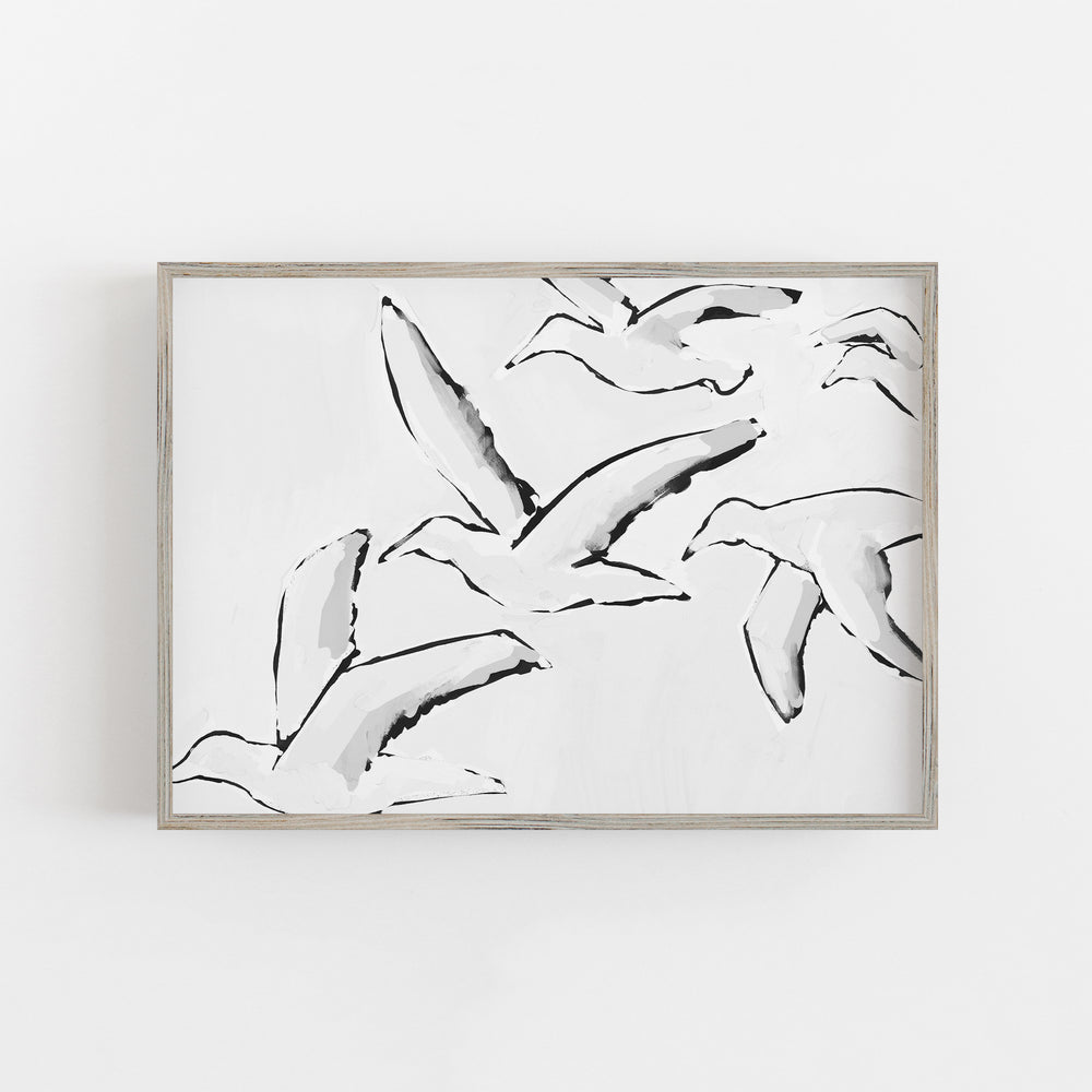 Black & White Gulls in Flight - Art Print or Canvas - Jetty Home