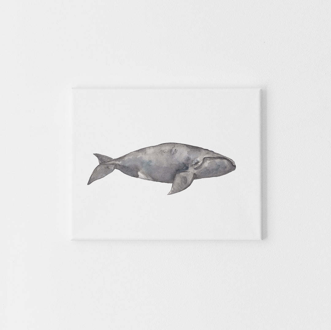 Watercolor Right Whale Painting - Jetty Home