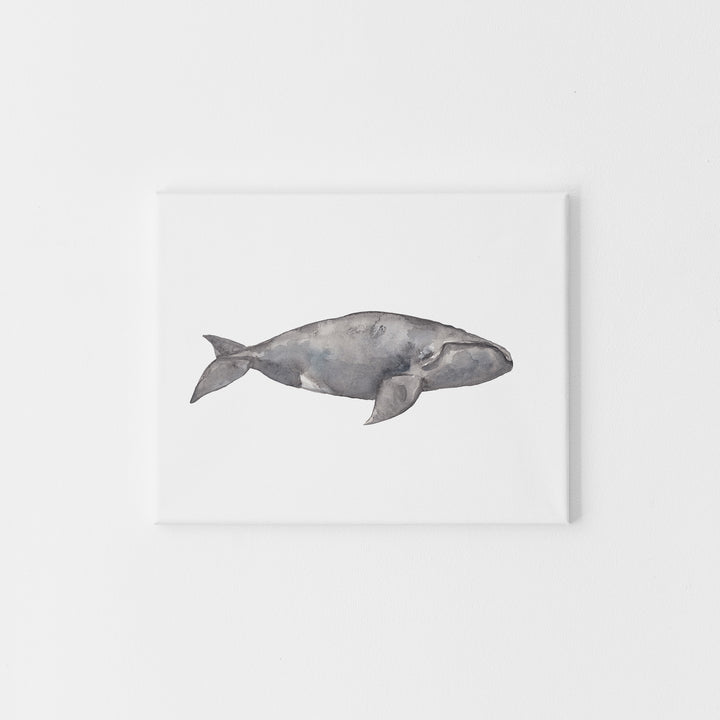 Watercolor Right Whale Painting - Jetty Home