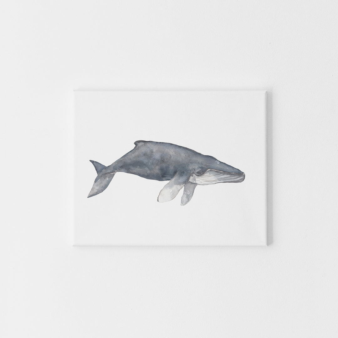 Watercolor Humpback Whale Painting - Jetty Home