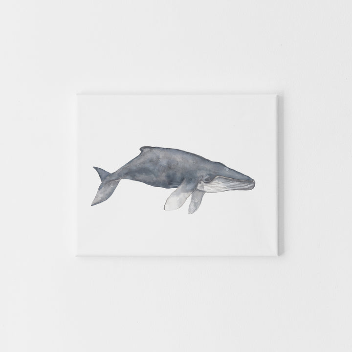 Watercolor Humpback Whale Painting - Jetty Home