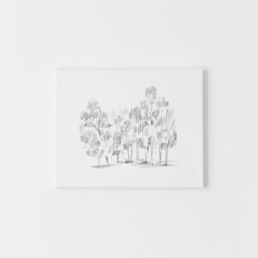 Dappled Hallow