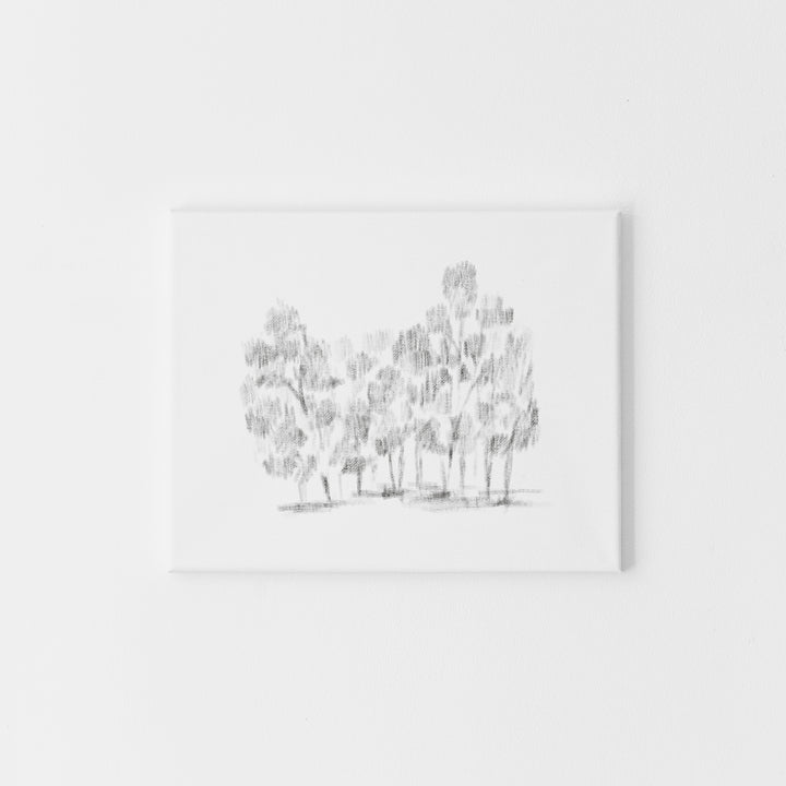 Dappled Hallow