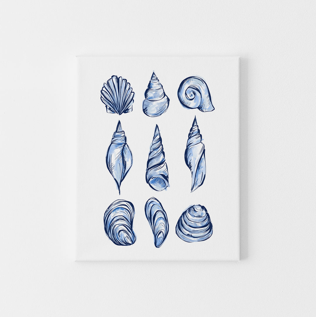 Blue Shell Study - Jetty Home