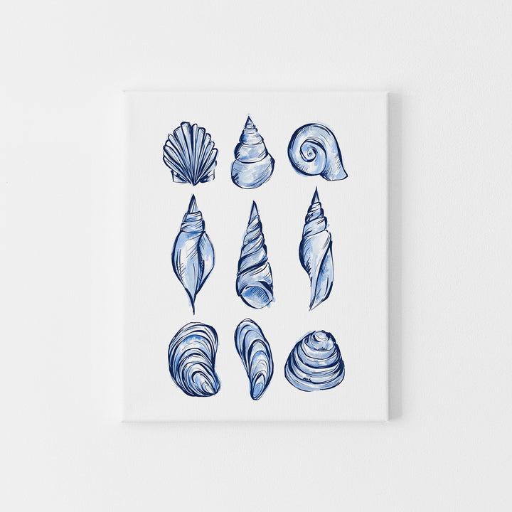 Blue Shell Study - Jetty Home