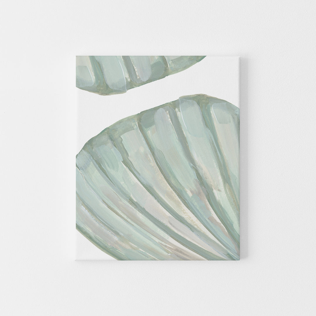 Seashell Forms - Jetty Home