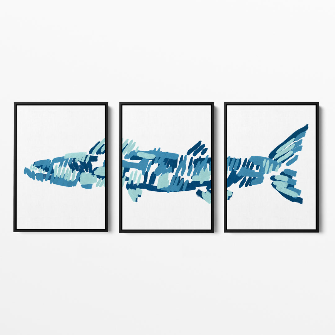 The Barracuda Triptych - Set of 3