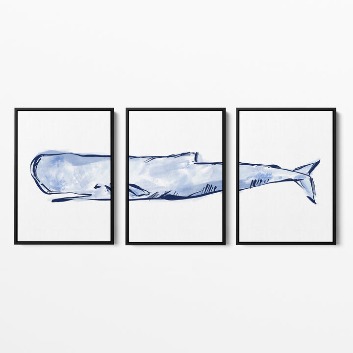 The Nautical Sperm Whale Triptych - Set of 3 - Jetty Home