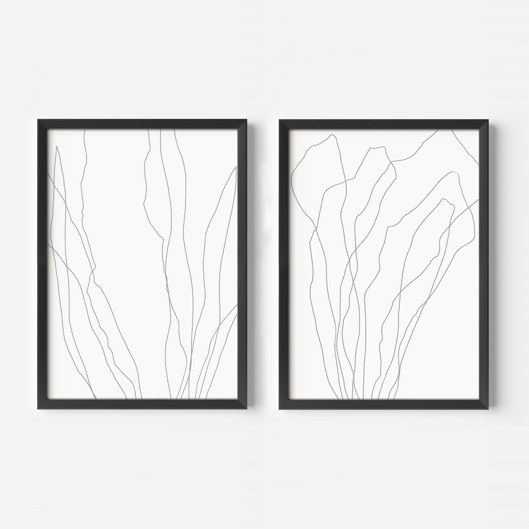 Modern Minimalist Seaweed Illustration - Set of 2