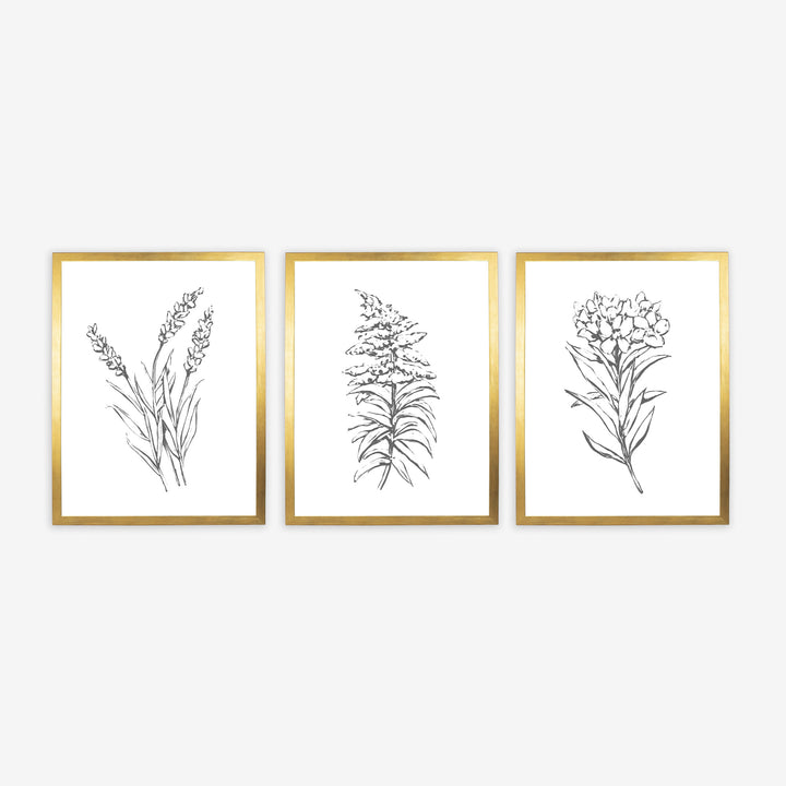 Florals in the Countryside - Set of 3