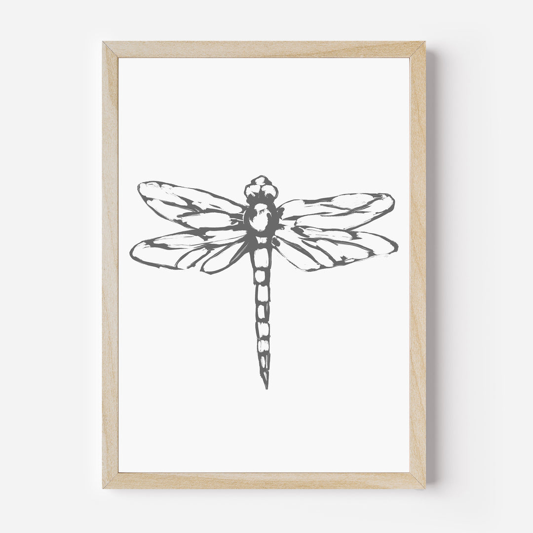 The Dragonfly