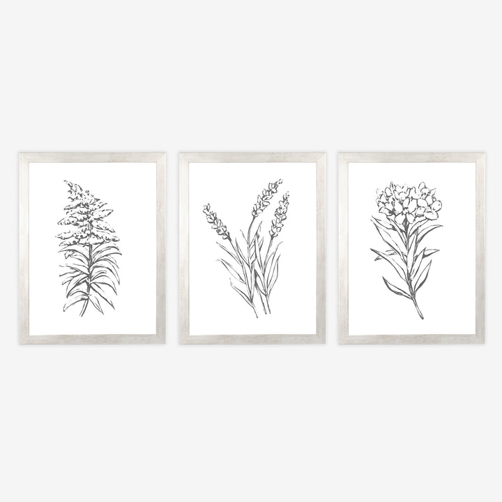 Florals in the Countryside - Set of 3