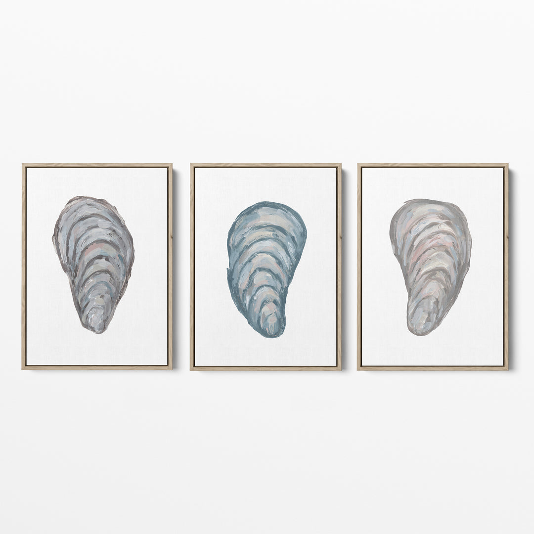 Drifted Mussels Triptych - Set of 3