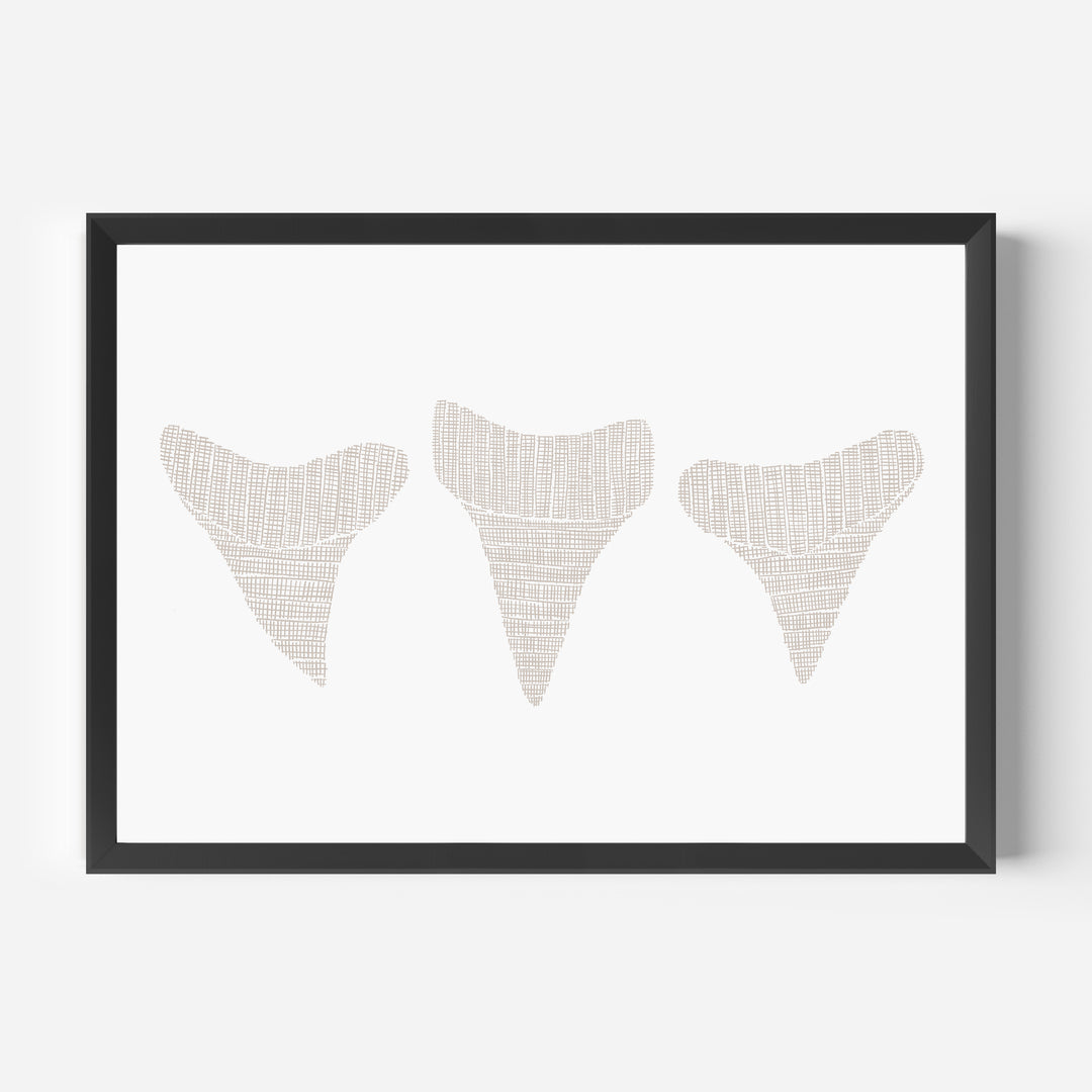 Woven Shark Teeth Trio Illustration