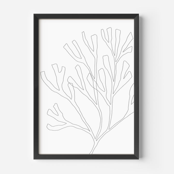 Minimalist Seaweed Illustration, No. 2