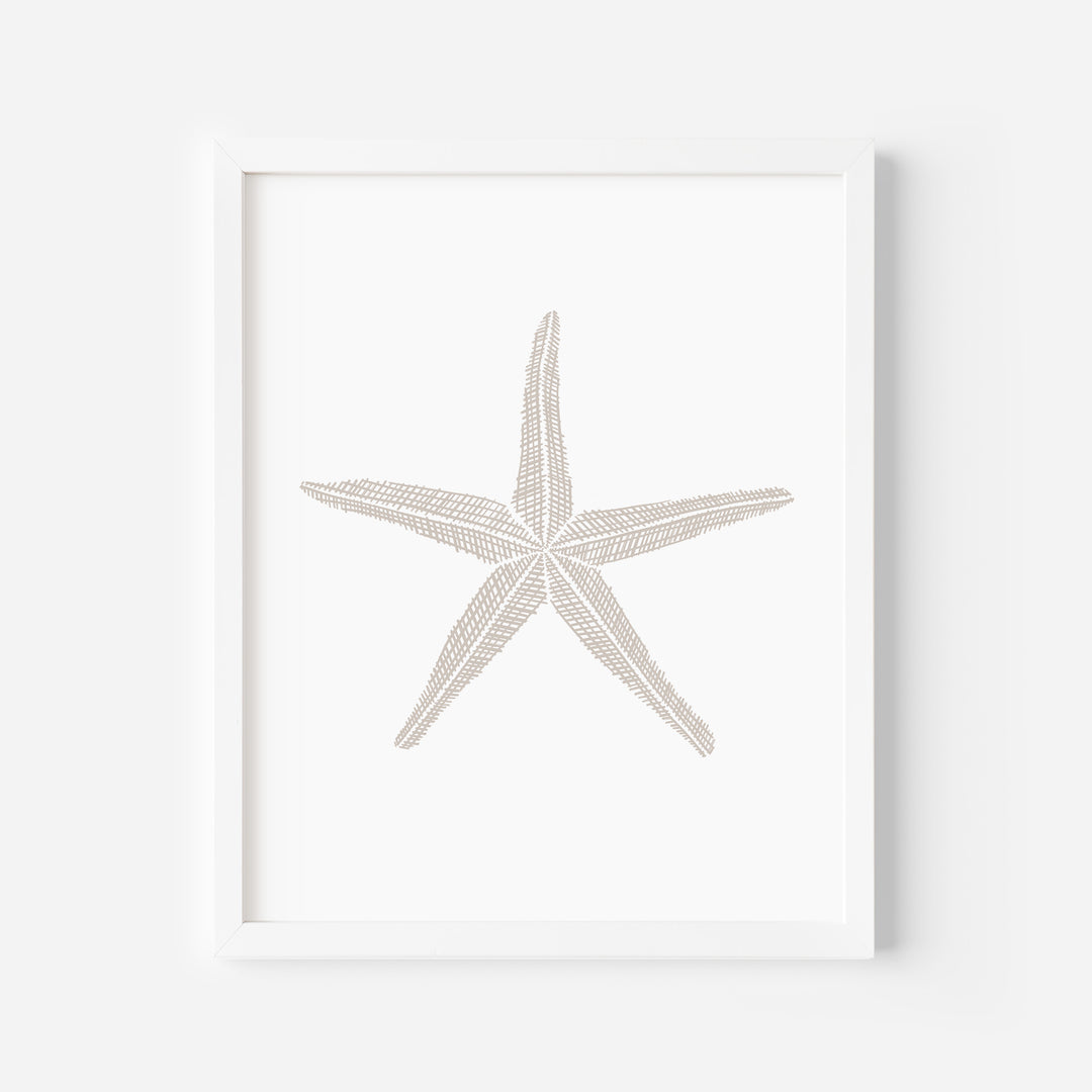 Woven Starfish Illustration