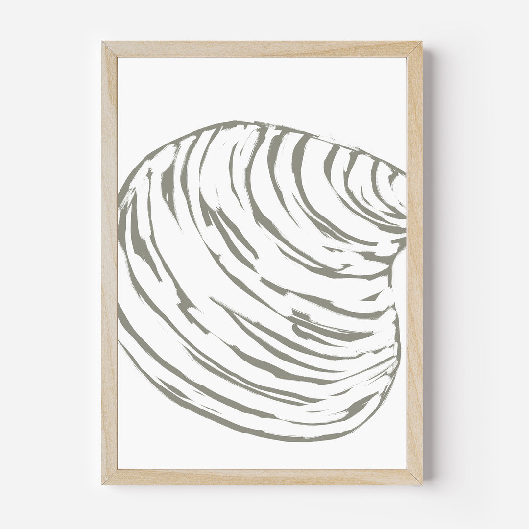 Modern Seashell Study, No. 1