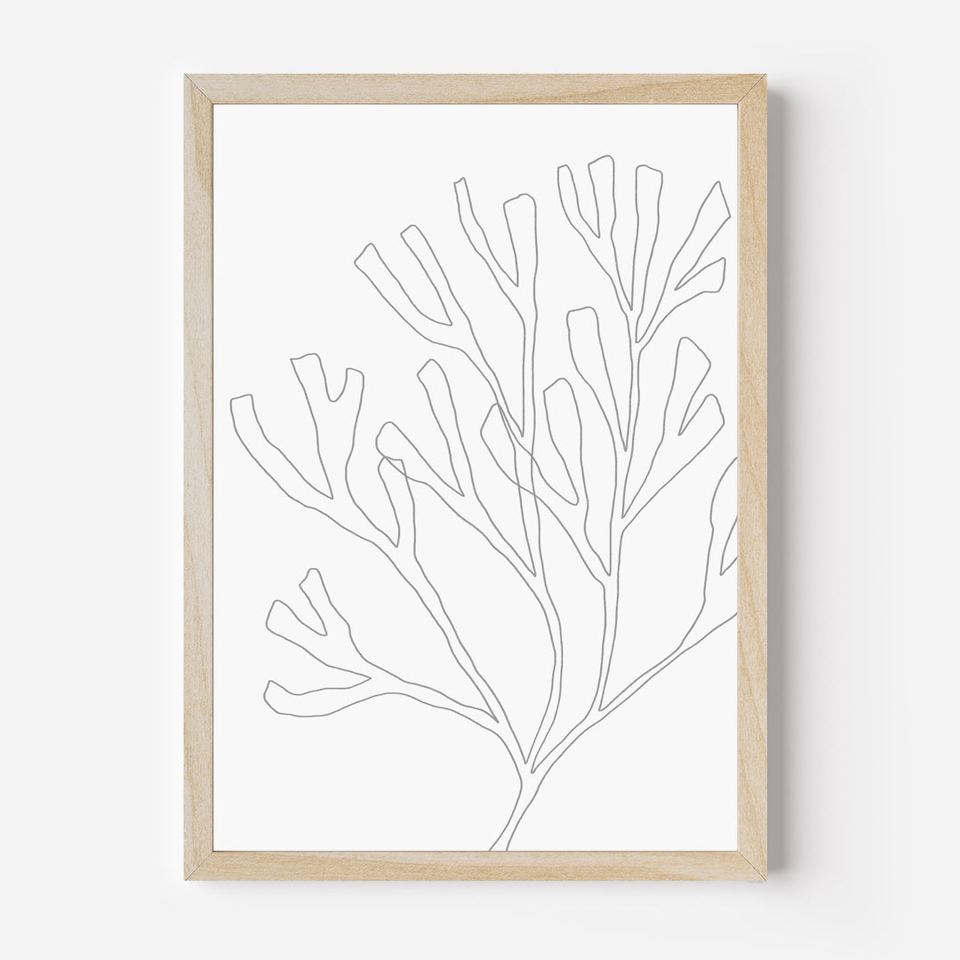 Minimalist Seaweed Illustration, No. 2