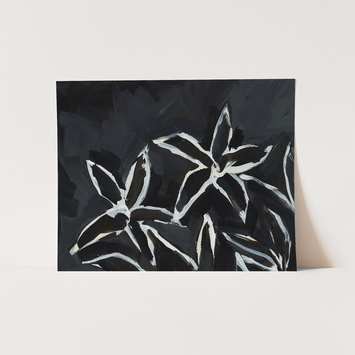 Black & Cream Lilies