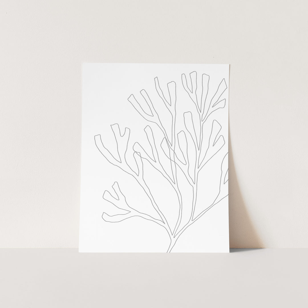 Minimalist Seaweed Illustration, No. 2