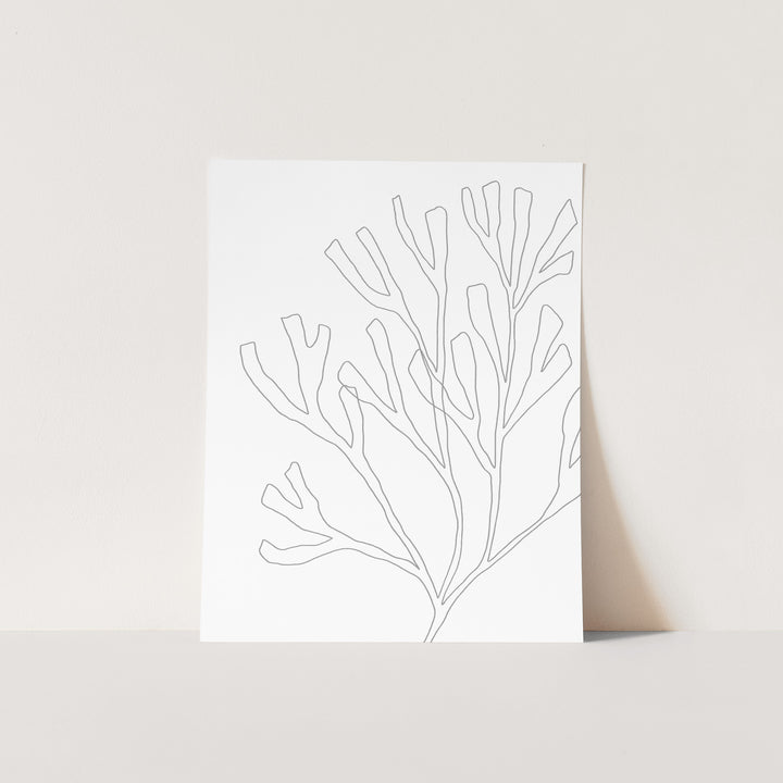 Minimalist Seaweed Illustration, No. 2