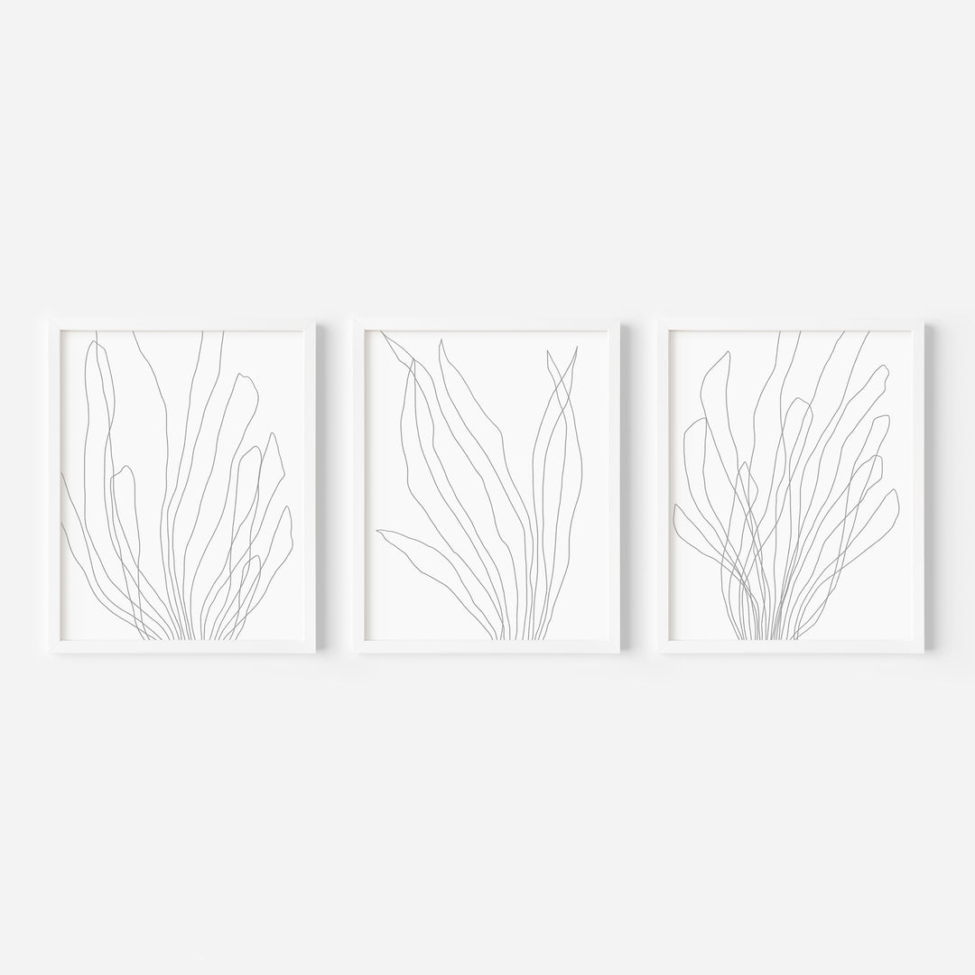 Modern Minimalist Seaweed Illustration - Set of 3