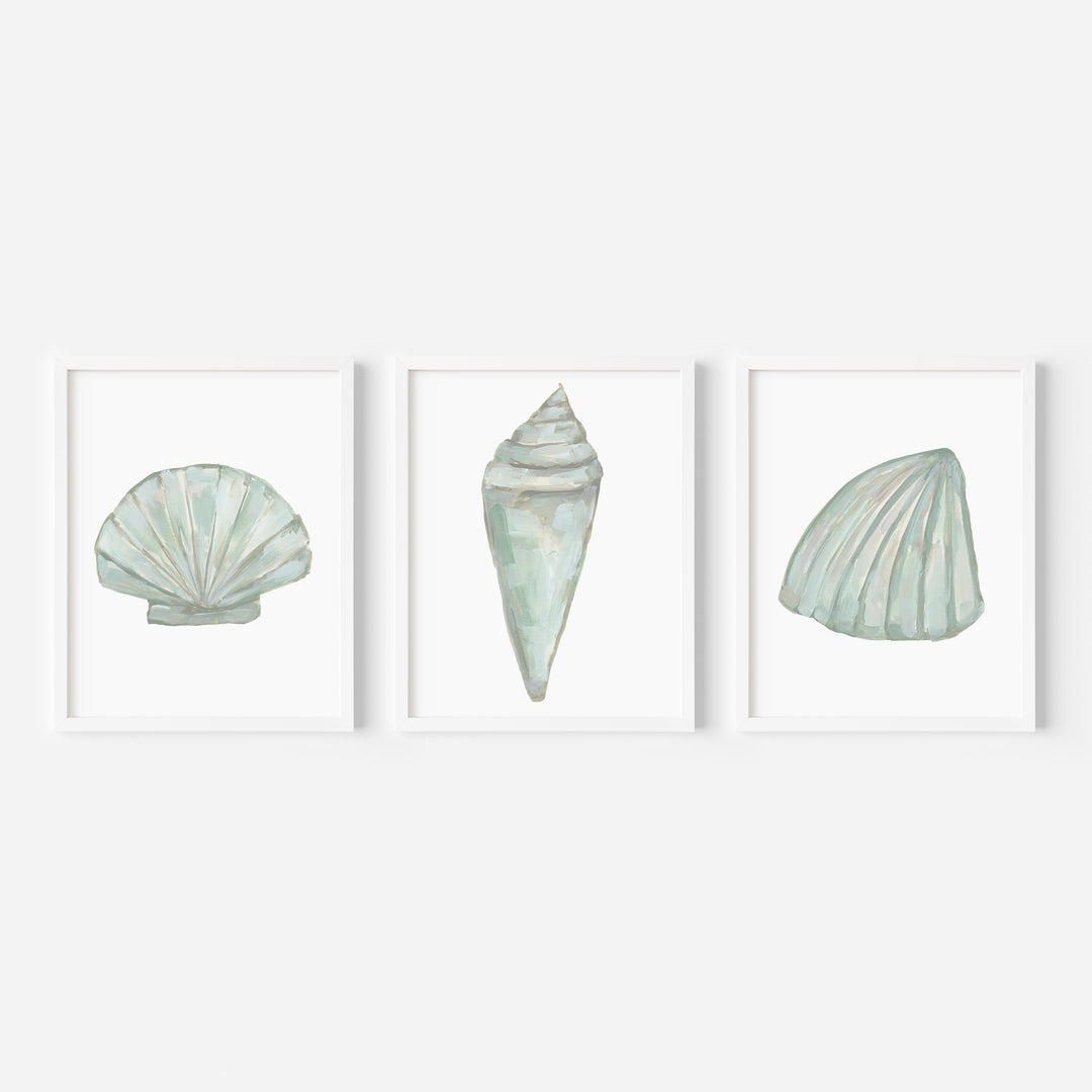 Seashell Trio, No. 1 - Set of 3