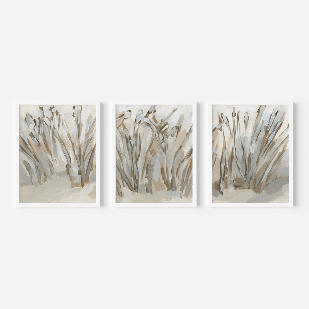 Deep in the Dunes - Set of 3