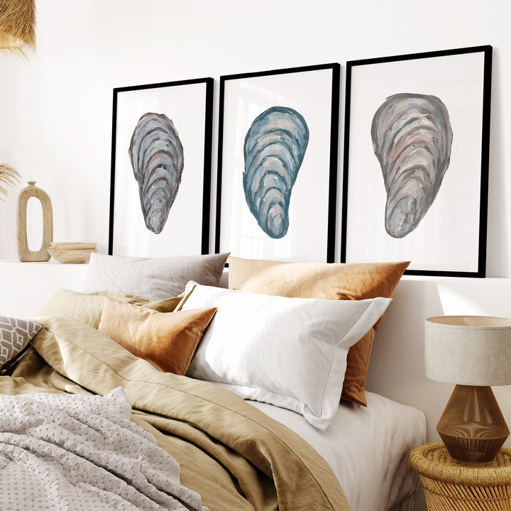 Drifted Mussels Triptych - Set of 3