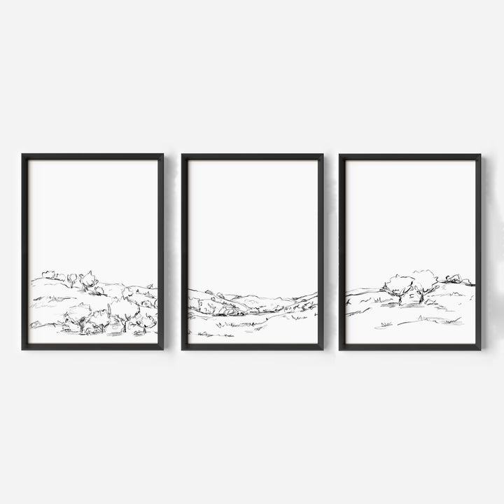 The Hillside Oak Trees - Set of 3