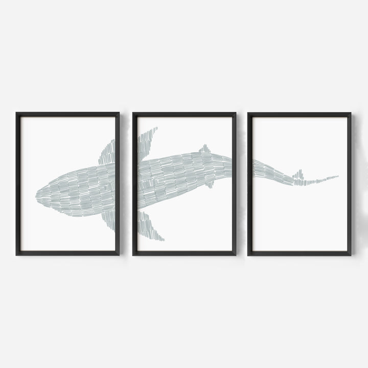 Deconstructed Swimming Shark Triptych - Set of 3