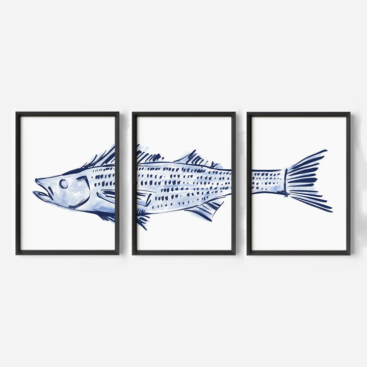 Striped Bass Triptych - Set of 3 - Jetty Home
