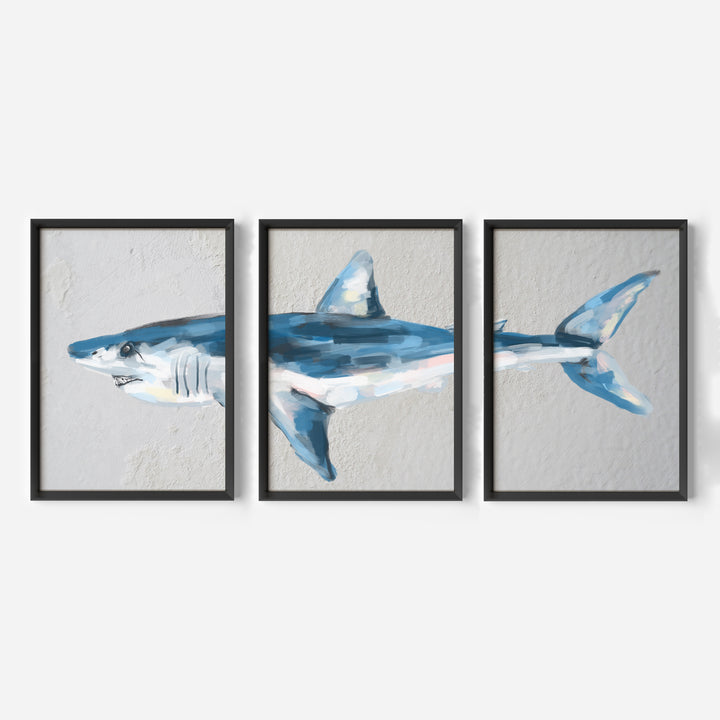 Mako Shark Triptych - Set of 3