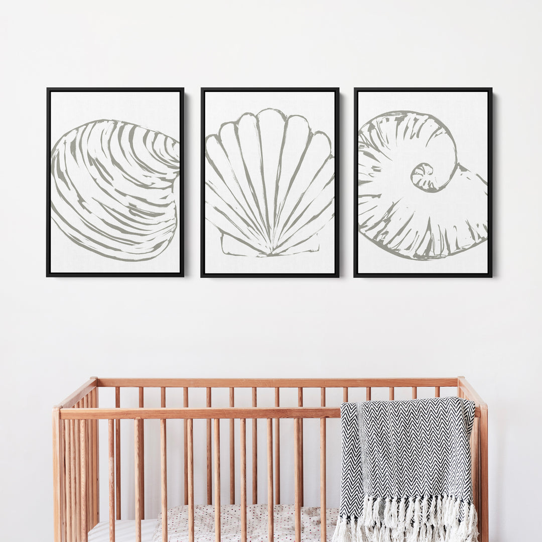 Minimalist Seashell Trio, No. 2 - Set of 3