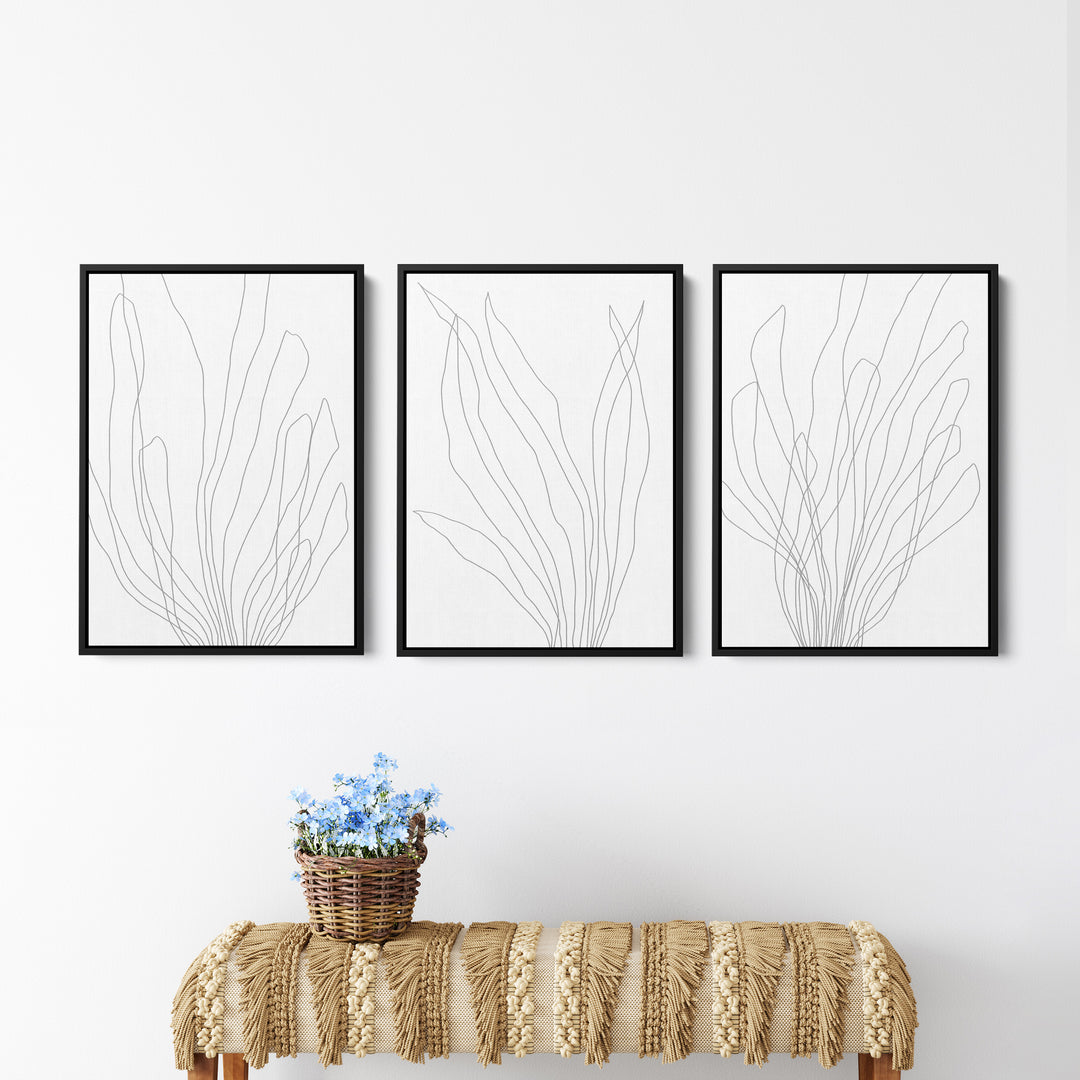 Modern Minimalist Seaweed Illustration - Set of 3