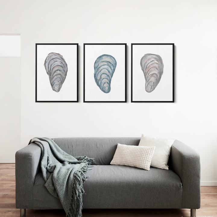 Drifted Mussels Triptych - Set of 3