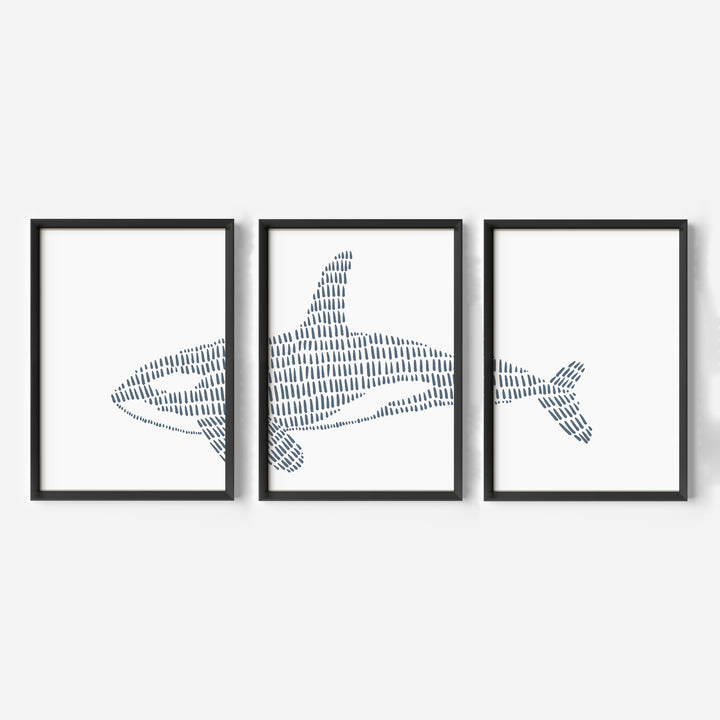 Orca Whale Illustration - Set of 3