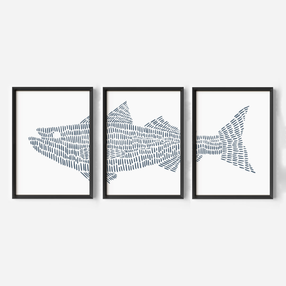 Striped Bass Fish Modern Illustration - Set of 3 - Jetty Home
