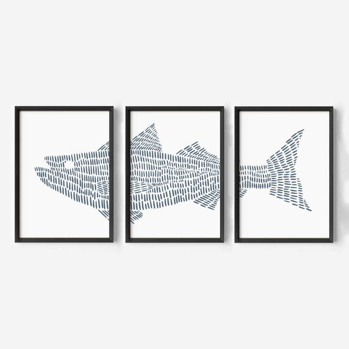 Striped Bass Fish Modern Illustration - Set of 3 - Jetty Home