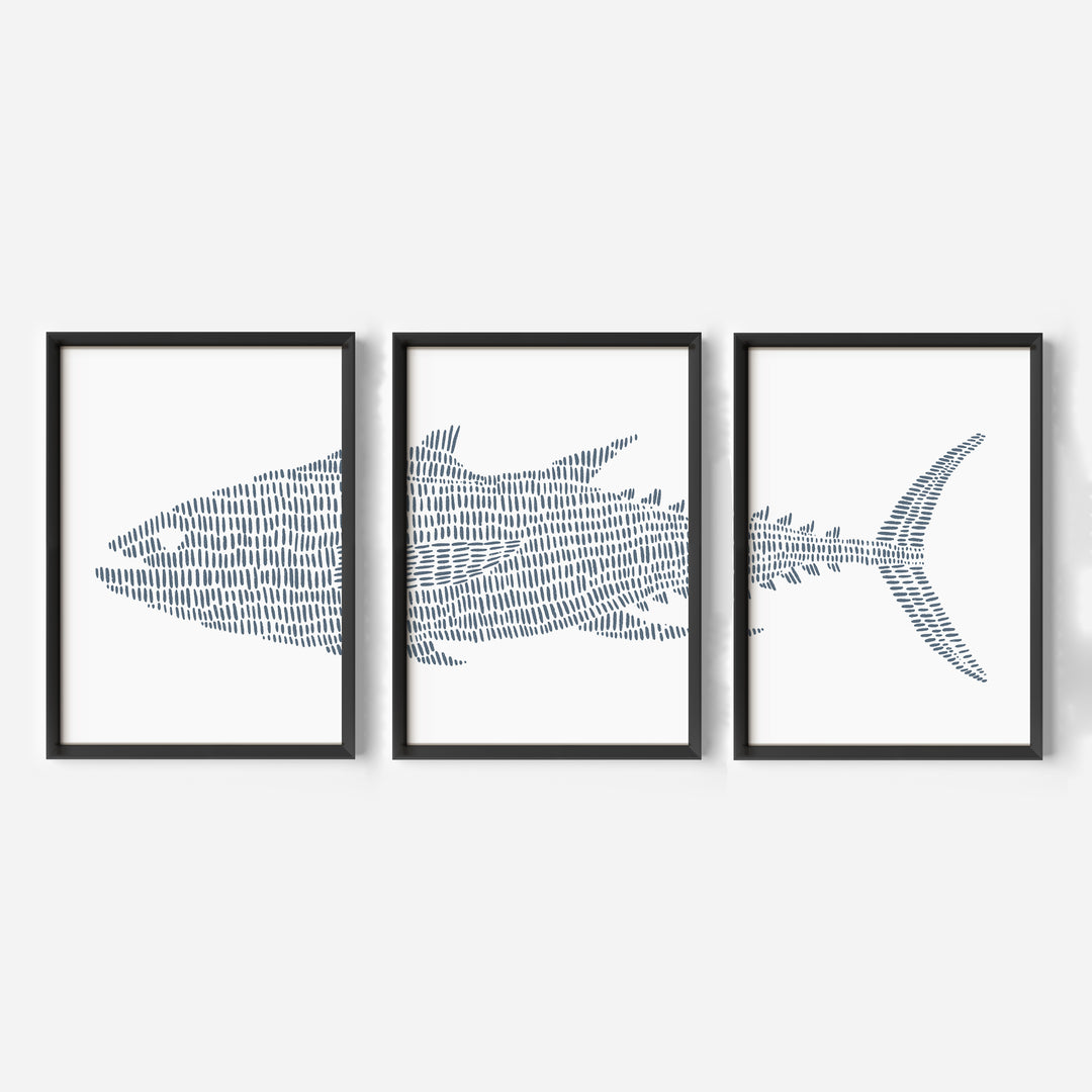 Tuna Fish Modern Illustration - Set of 3