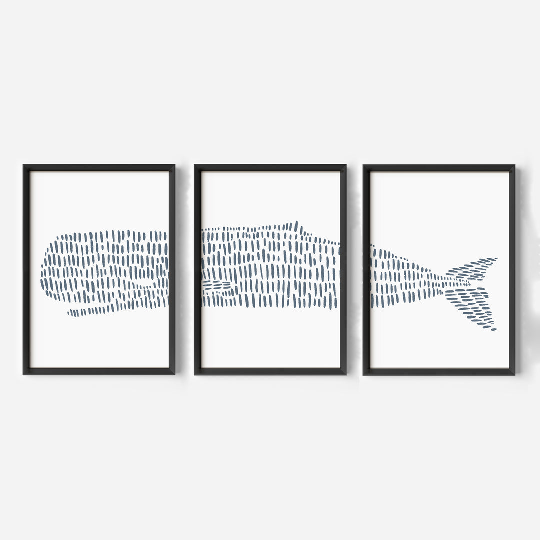 Sperm Whale Modern Illustration - Set of 3