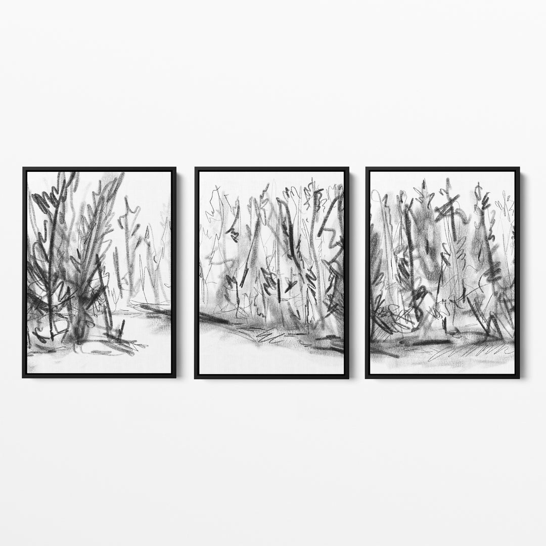 Woods Forest Black and White Sketch - Set of 3