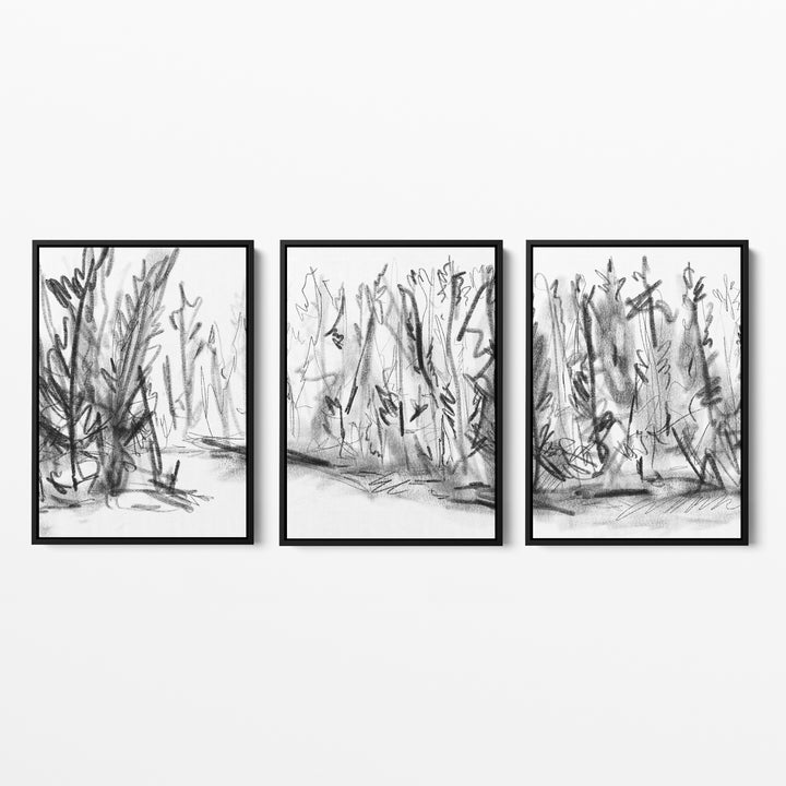 Woods Forest Black and White Sketch - Set of 3