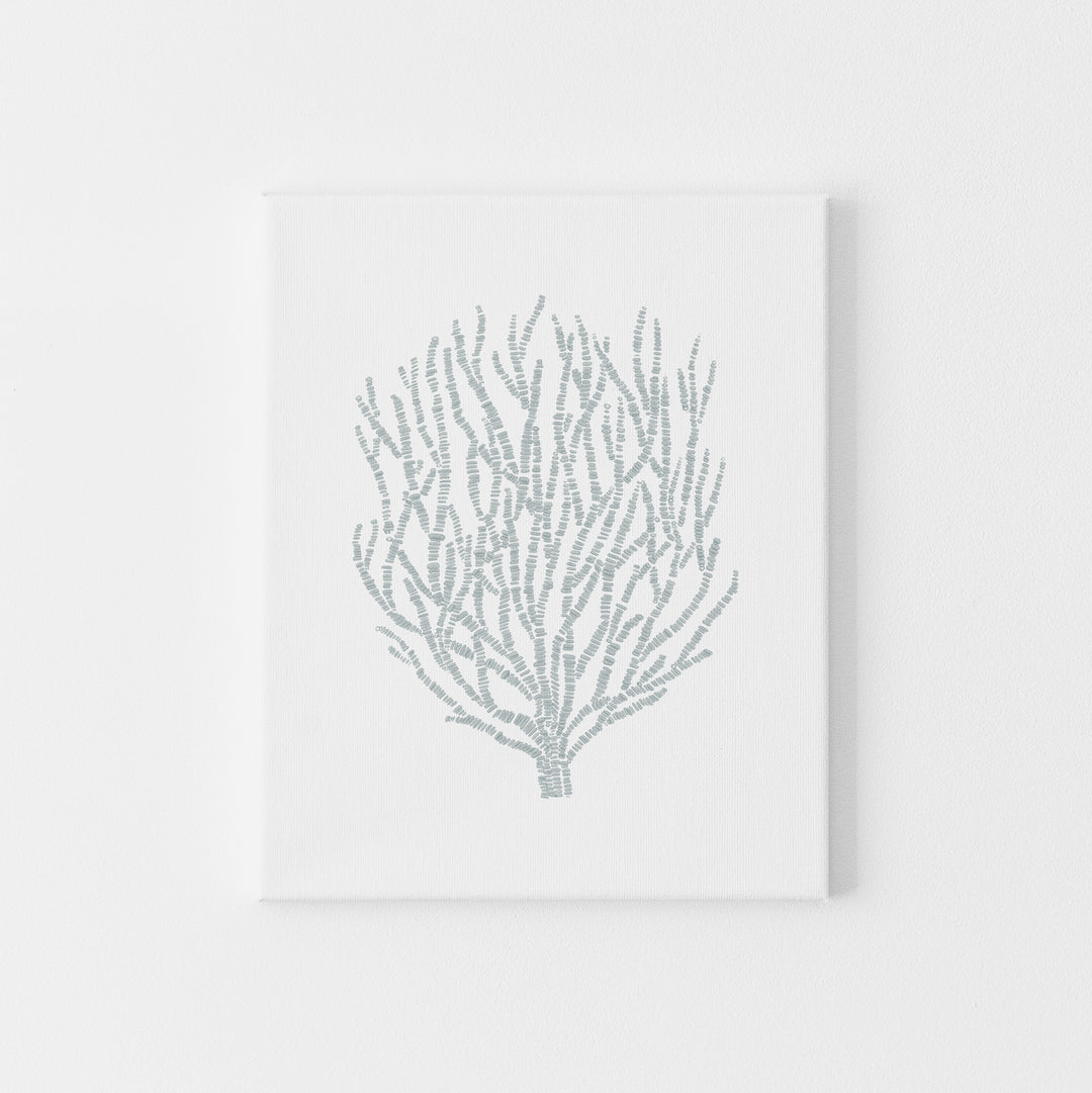 Deconstructed Sea Plant - Art Print or Canvas - Jetty Home