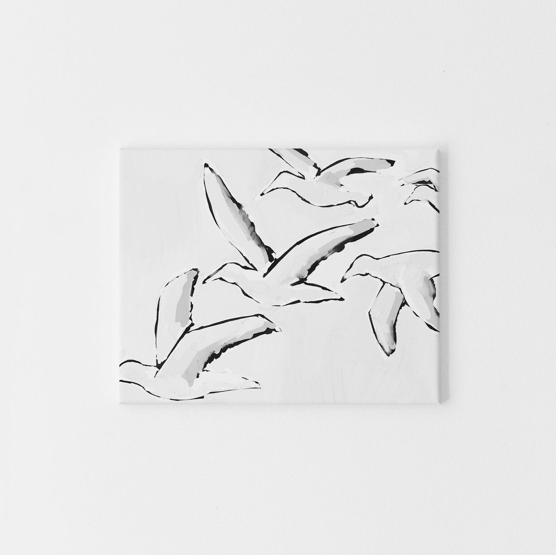 Black & White Gulls in Flight - Art Print or Canvas - Jetty Home