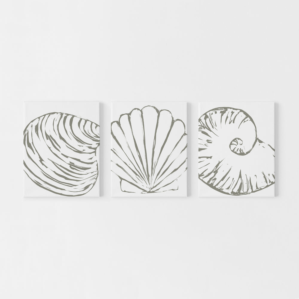 Minimalist Seashell Trio, No. 2 - Set of 3  - 11x14" Canvas Set - Jetty Home