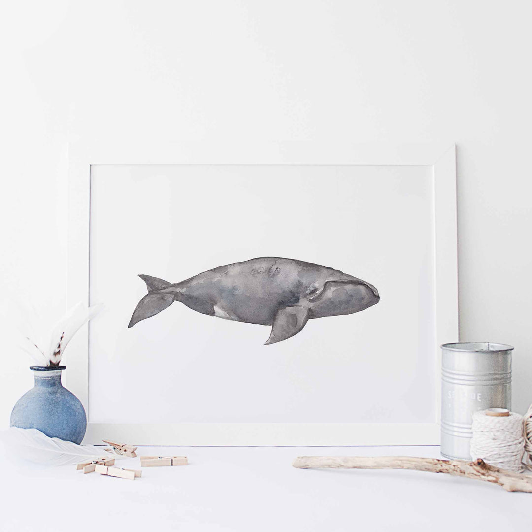 Watercolor Right Whale Painting - Jetty Home